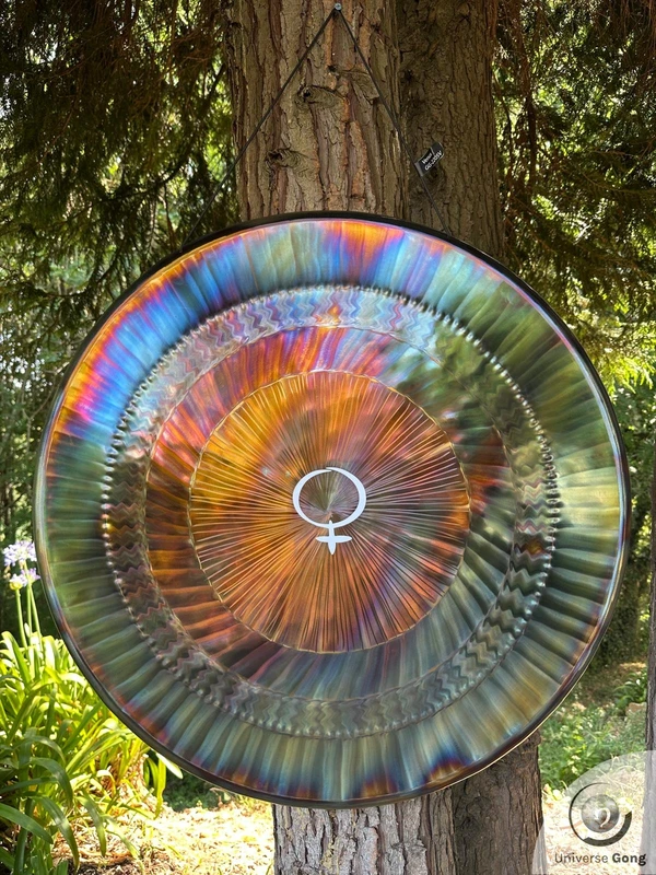 Portfolio Planetary Gong