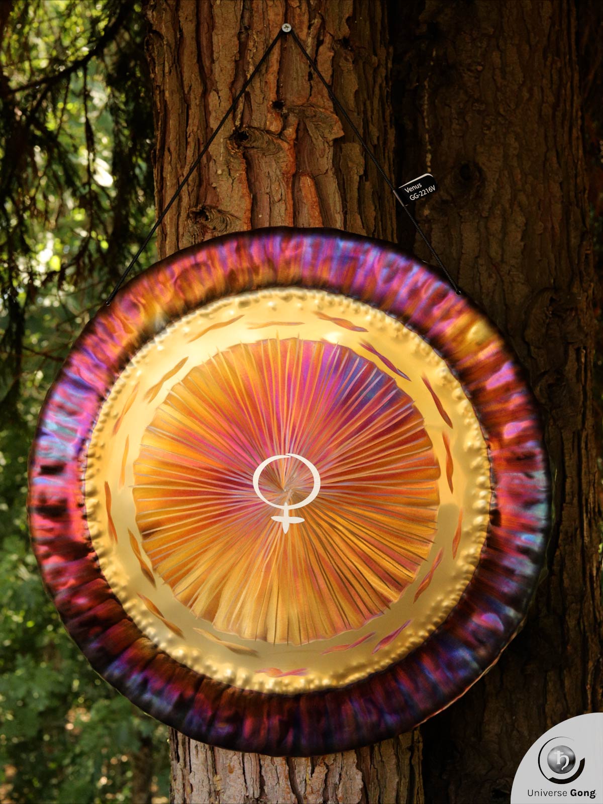 Planetary Gong Venus 2.60 kg / 5.73 lb