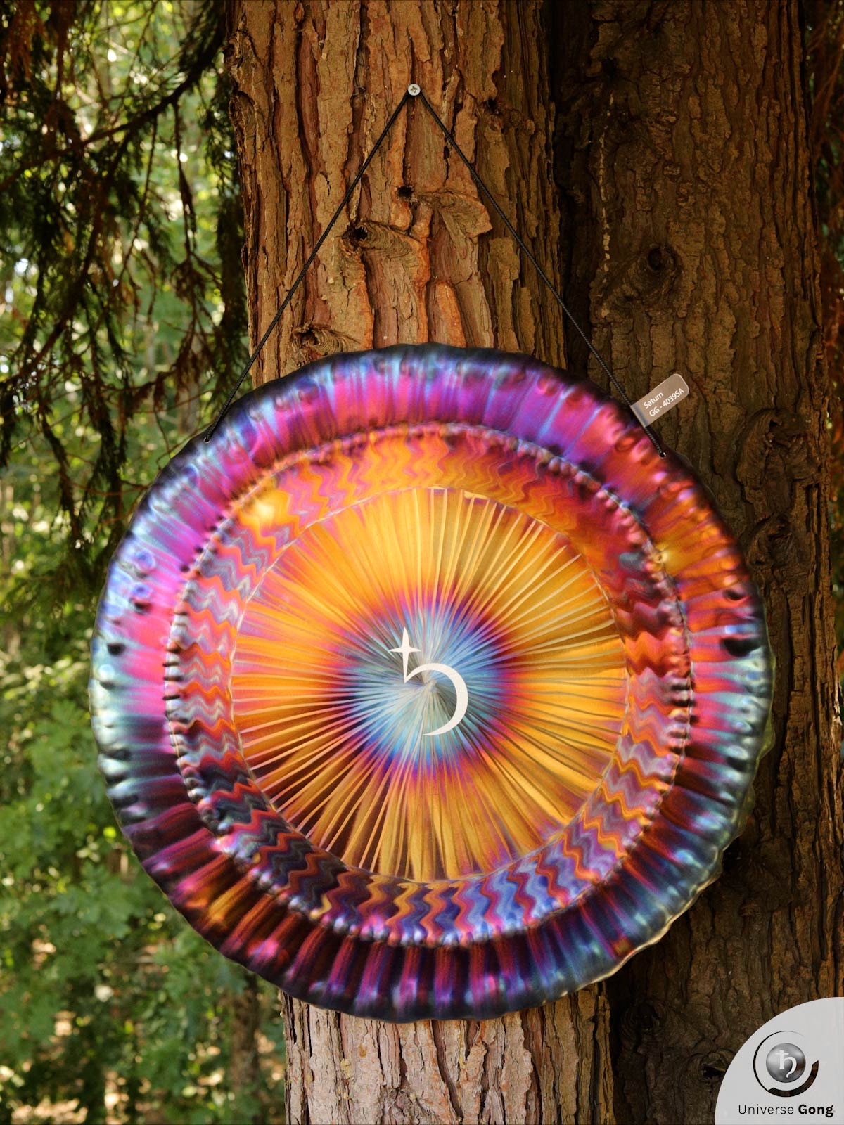 Planetary Gong Saturn 2.60 kg / 5.73 lb