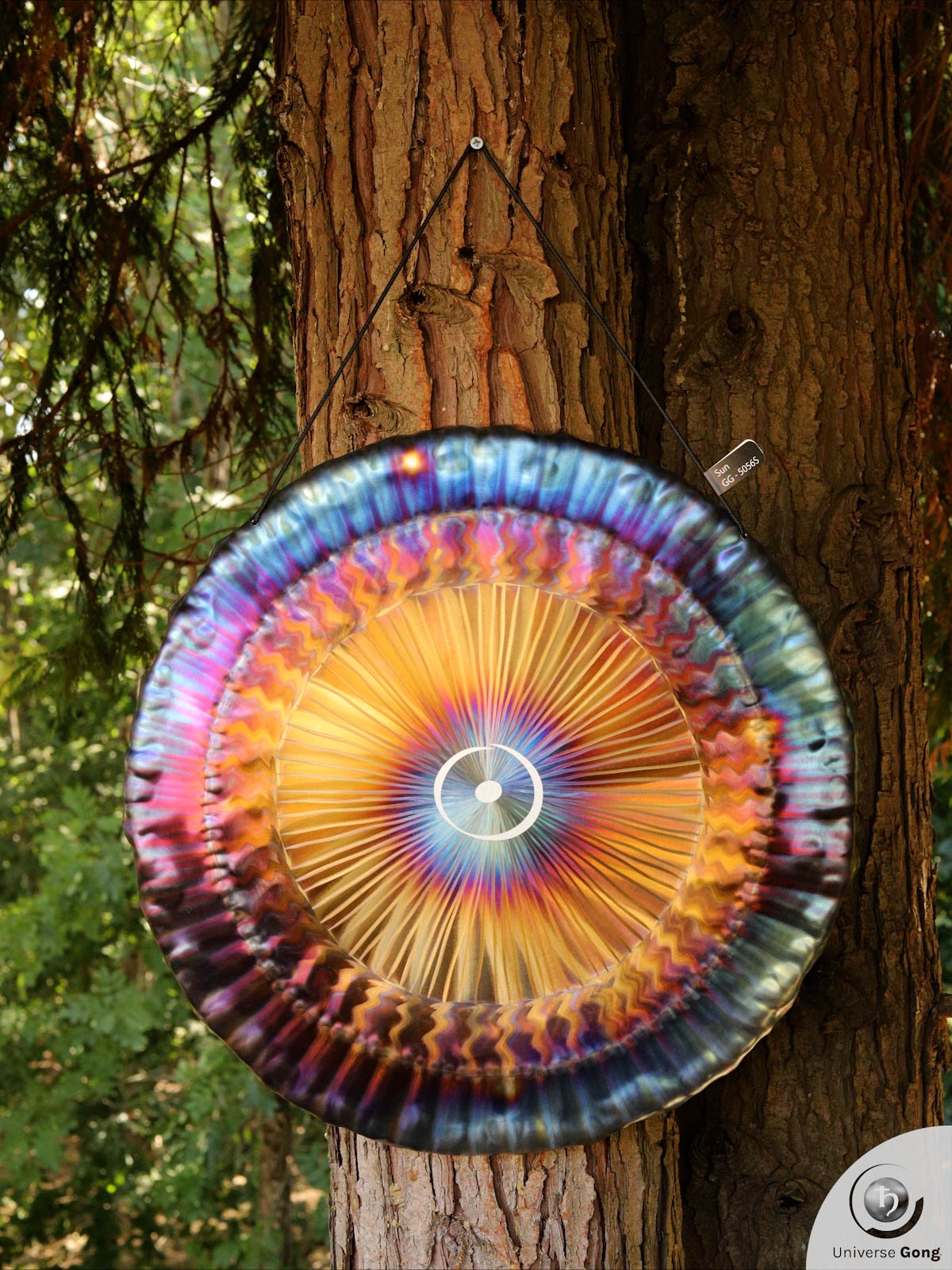 Planetary Gong Sun 2.60 kg / 5.73 lb