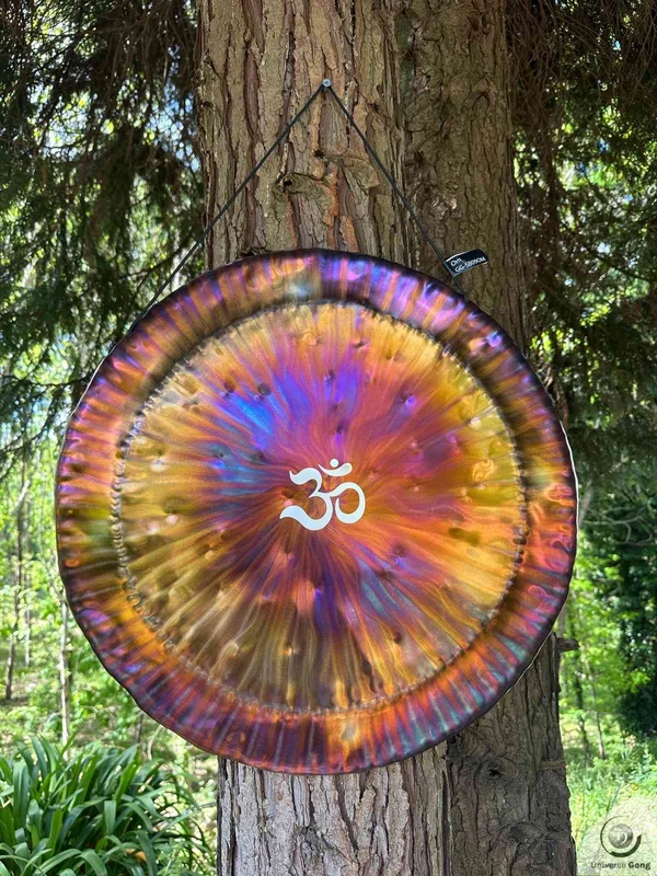  OM Gong 2.60 kg / 5.73 lb