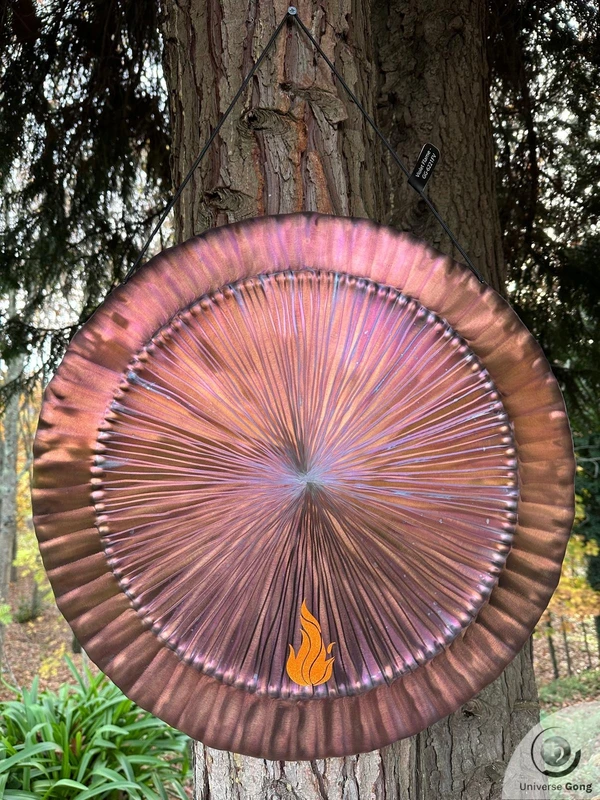  Violet Flame / Special Edition 2.60 kg / 5.73 lb