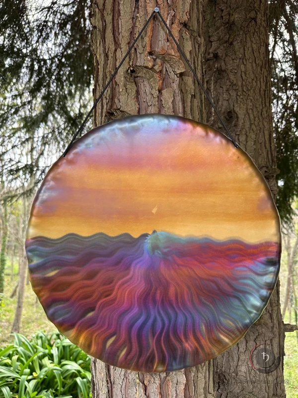  Handheld Gong / Panorama 1.80 kg / 3.97 lb