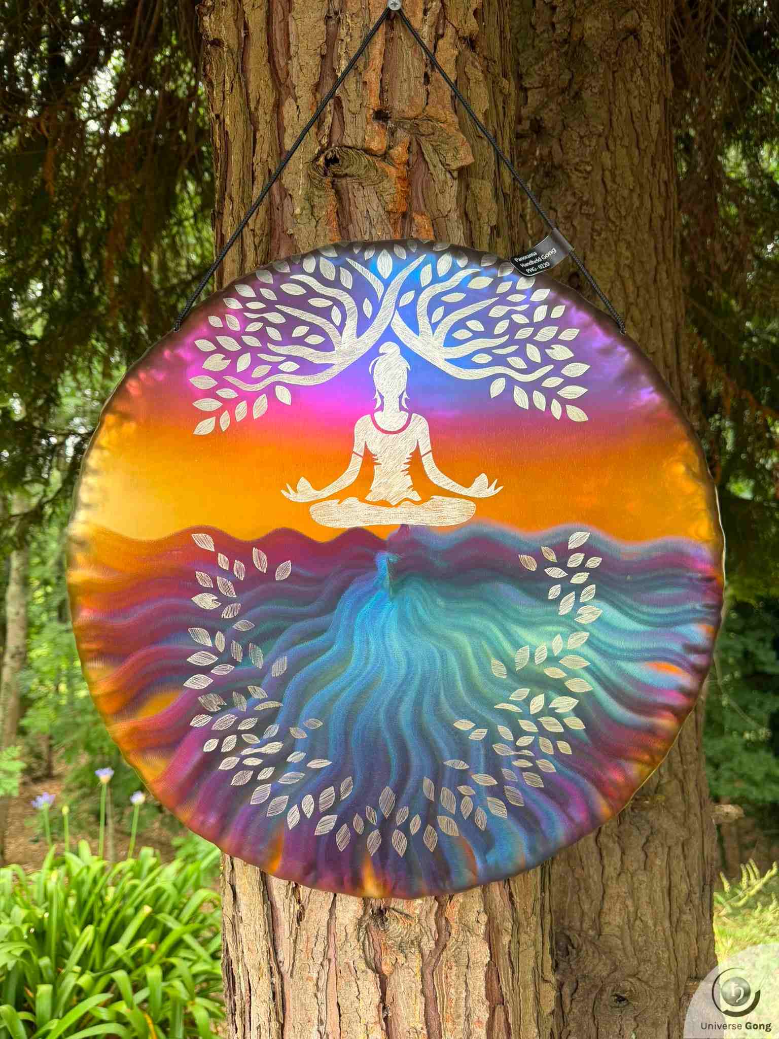 Handheld Gong / Panorama 50 cms / 20.0 in | 1.80 Kg / Lbs