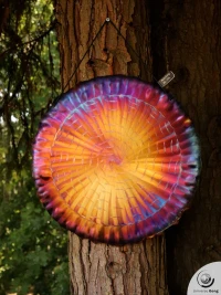  Handheld Gong / Aura Gong 1.80 kg / 3.97 lb