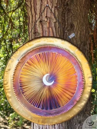 Planetary Gong Full Moon 3.40 kg / 7.50 lb