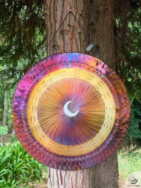 Planetary Gong Full Moon 3.40 kg / 7.50 lb