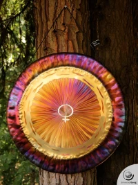 Planetary Gong Venus 2.60 kg / 5.73 lb