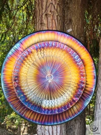 Planetary Gong Venus 7.91 kg / 17.42 lb