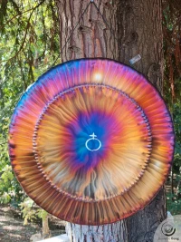 Planetary Gong Earth 4.70 kg / 10.36 lb
