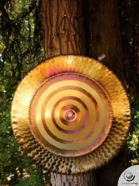 Planetary Gong Sun 4.70 kg / 10.36 lb