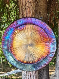 Planetary Gong Sun 5.90 kg / 13.01 lb