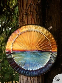  Ocean Gong 2.60 kg / 5.73 lb