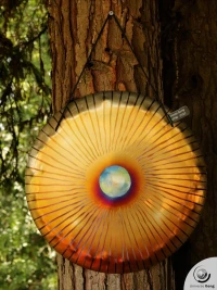  Wind Gong 1.20 kg / 2.65 lb