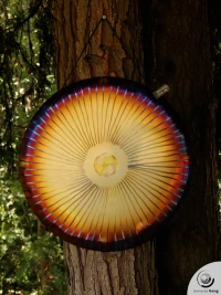  Wind Gong 1.80 kg / 3.97 lb
