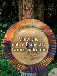 View all the Planetary Gongs available